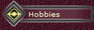 Hobbies