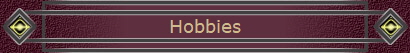 Hobbies